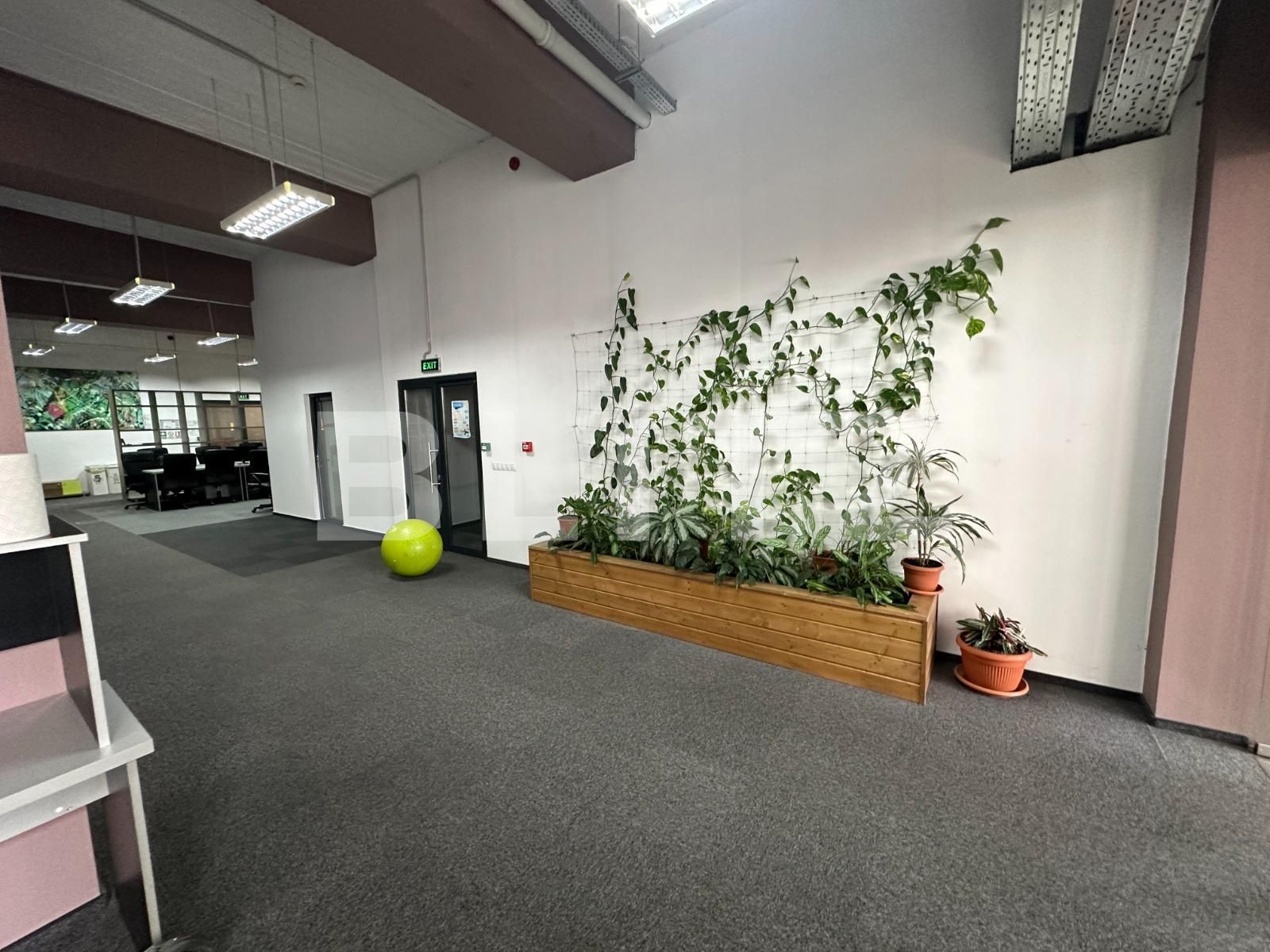 Spațiu birouri de închiriat Central - 132233SIB | BLITZ Cluj-Napoca | Poza5