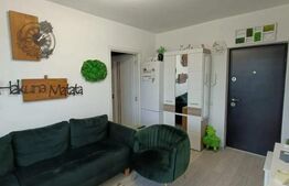 Apartament 2 camere, mobilat si utilat, 38mp, zona Fagului
