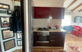 Studio 2 camere open-space, 56 mp, view superb, zona rezidentiala Bunloc