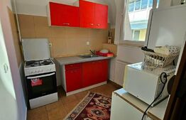 Apartament  2 camere, 57 mp, mobilat modern, zona Muzeul Apei