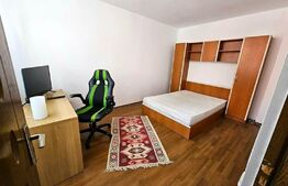 Apartament  2 camere, 57 mp, mobilat modern, zona Muzeul Apei