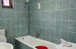 Casa 4 camere, 300 mp utili, 275 mp curte, Floresti
