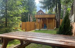 Pensiune, 4 camere, 382 mp utili, 256 mp teren, zona Baisoara