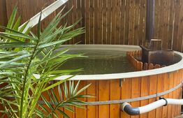 Pensiune, 4 camere, 382 mp utili, 256 mp teren, zona Baisoara