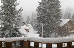 Pensiune, 4 camere, 382 mp utili, 256 mp teren, zona Baisoara