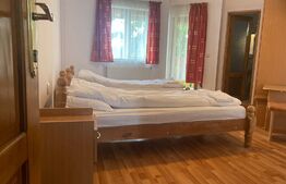 Pensiune, 4 camere, 382 mp utili, 256 mp teren, zona Baisoara