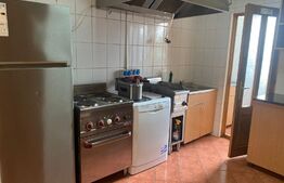 Pensiune, 4 camere, 382 mp utili, 256 mp teren, zona Baisoara