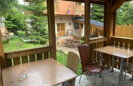 Pensiune, 4 camere, 382 mp utili, 256 mp teren, zona Baisoara