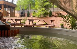 Pensiune, 4 camere, 382 mp utili, 256 mp teren, zona Baisoara