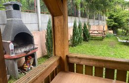 Pensiune, 4 camere, 382 mp utili, 256 mp teren, zona Baisoara