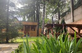 Pensiune, 4 camere, 382 mp utili, 256 mp teren, zona Baisoara