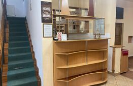 Pensiune, 4 camere, 382 mp utili, 256 mp teren, zona Baisoara