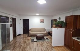 Apartament 2 camere, mobilat si utilat, 48mp, zona Porii