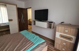 Apartament 2 camere, mobilat si utilat, 48mp, zona Porii