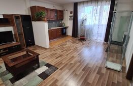 Apartament 2 camere, mobilat si utilat, 48mp, zona Porii