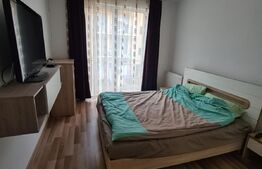 Apartament 2 camere, mobilat si utilat, 48mp, zona Porii