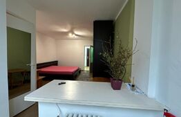 Apartament 1 camera , finisata , mobilata , Iulius Mall 