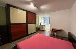 Apartament 1 camera , finisata , mobilata , Iulius Mall 