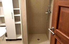 Apartament 1 camera, 40 mp, decomandat, zona Traian Vuia