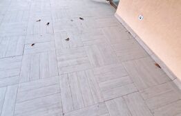 Apartament 6 camere, 3 bai, 144mp, terasa 70 mp, zona Stejarului 