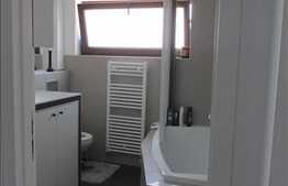 Apartament cochet cu 3 camere, 64 mp, 2 terase, mobilat modern, zona Tauti!