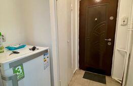 Garsoniera, 30 mp, zona strazii Detunata