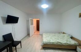 Garsoniera, 30 mp, zona strazii Detunata