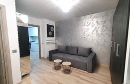 Apartament de lux, 2 camere, 44 mp, zona strazii Taietura Turcului