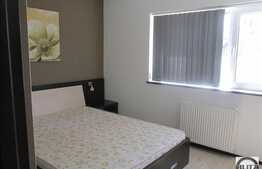 Apartament modern cu 2 camere, 60 mp utili, balcon inchis, zona Muzeul Apei!