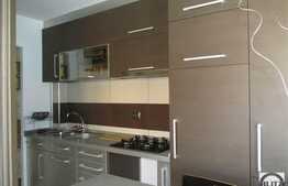 Apartament modern cu 2 camere, 60 mp utili, balcon inchis, zona Muzeul Apei!