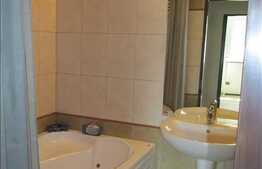 Apartament modern cu 2 camere, 60 mp utili, balcon inchis, zona Muzeul Apei!