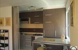 Apartament modern cu 2 camere, 60 mp utili, balcon inchis, zona Muzeul Apei!