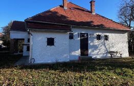 Comoara in stil transilvanean, spatiu comercial, 225mp, Central