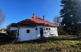 Comoara in stil transilvanean, spatiu comercial, 225mp, Central