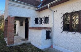 Comoara in stil transilvanean, spatiu comercial, 225mp, Central