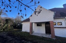 Comoara in stil transilvanean, spatiu comercial, 225mp, Central