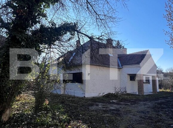 Spațiu comercial de închiriat Central - 132651SIC | BLITZ Cluj-Napoca | Poza16