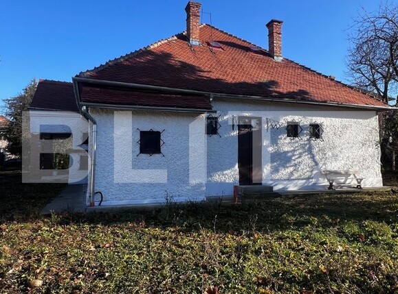 Spațiu comercial de închiriat Central - 132651SIC | BLITZ Cluj-Napoca | Poza15