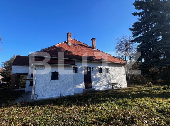 Spațiu comercial de închiriat Central - 132651SIC | BLITZ Cluj-Napoca | Poza1