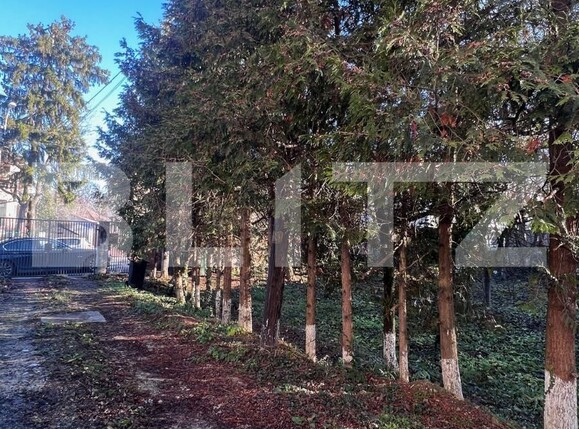 Spațiu comercial de închiriat Central - 132651SIC | BLITZ Cluj-Napoca | Poza17