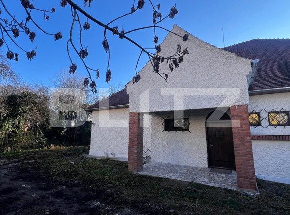 Spațiu comercial de închiriat Central - 132651SIC | BLITZ Cluj-Napoca | Poza11