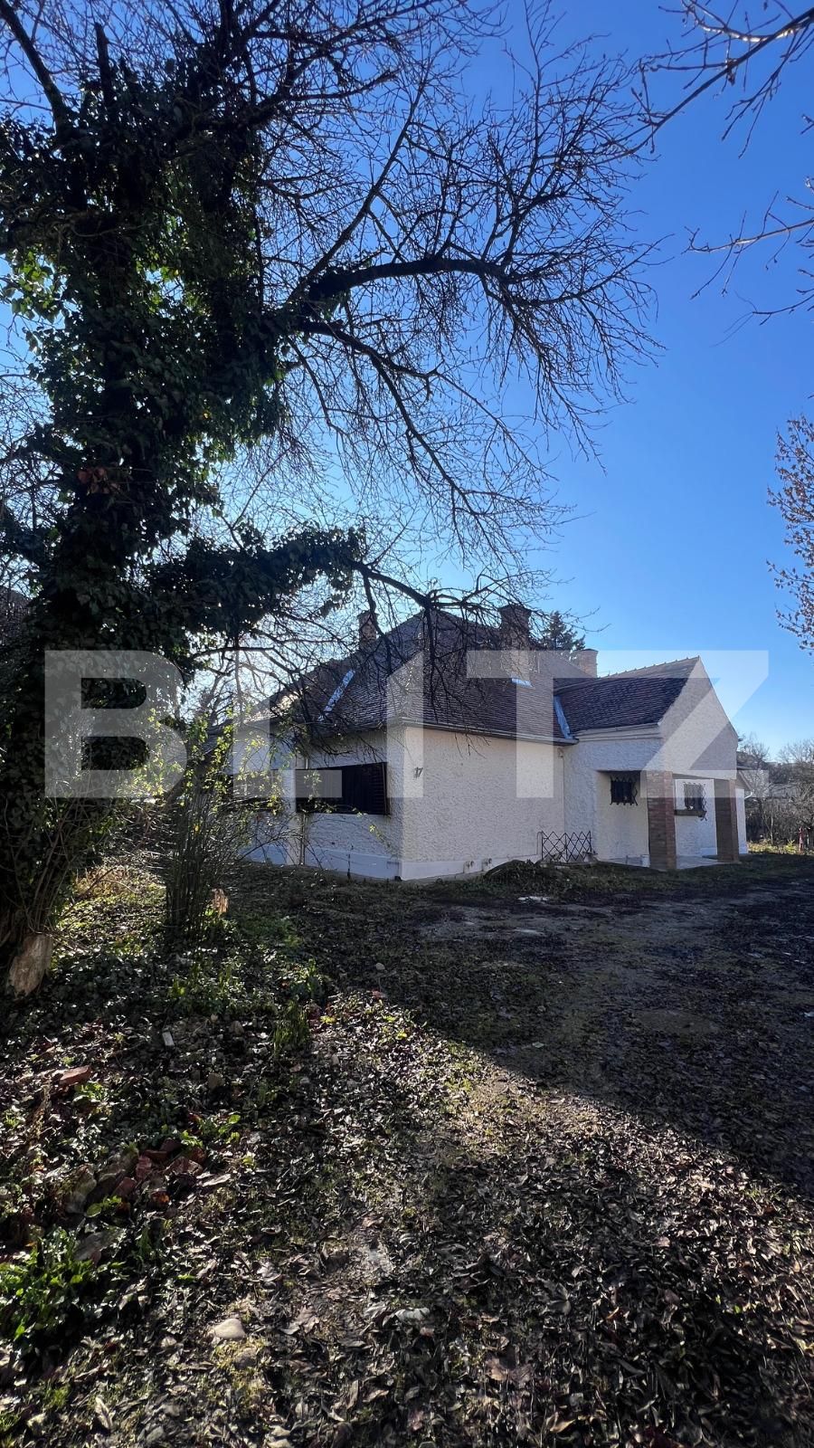 Spațiu comercial de închiriat Central - 132651SIC | BLITZ Cluj-Napoca | Poza16