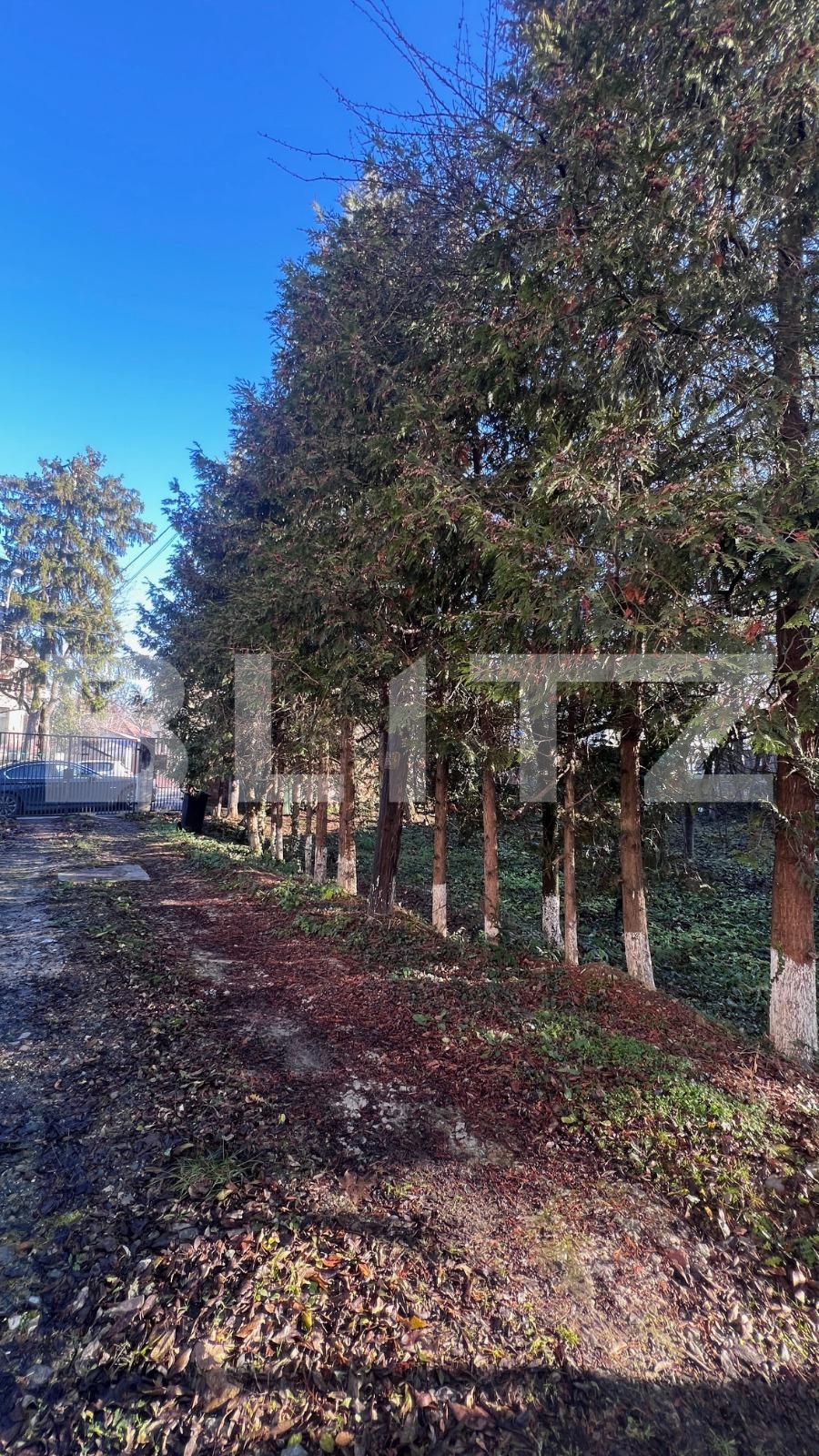 Spațiu comercial de închiriat Central - 132651SIC | BLITZ Cluj-Napoca | Poza17