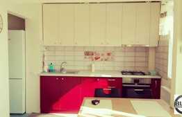 2 camere, 45 mp, mobilat modern, zona strazii Albac