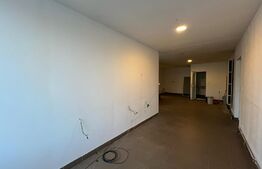 Spatiu industrial, pretabil si pentru birou, 139 mp, zona Garii