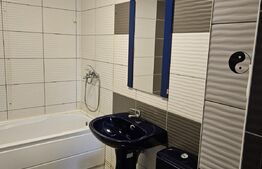 Apartament 2 camere, 48mp, mobilat si utilat, zona Porii