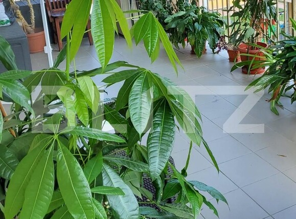 Apartament de vânzare 2 camere Floreşti - 132718AV | BLITZ Cluj-Napoca | Poza9