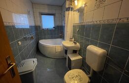 Garsoniera, 40 mp, balcon, centrală proprie, zona Dunării