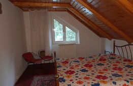 CASĂ cu ȘEMINEU 6 camere zona ȘIRNEA