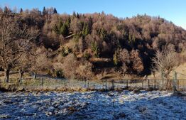 CASĂ cu ȘEMINEU 6 camere zona ȘIRNEA